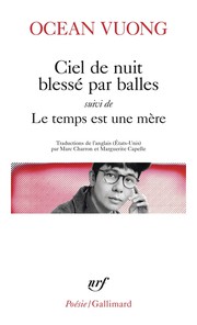 9 secondes, la civilisation du poisson rouge&nbsp;: Petit trait� sur le march� de l'attention