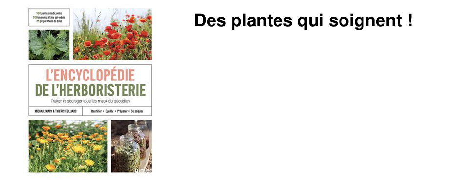 Des plantes qui soignent !