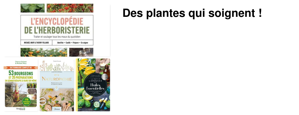 Des plantes qui soignent !