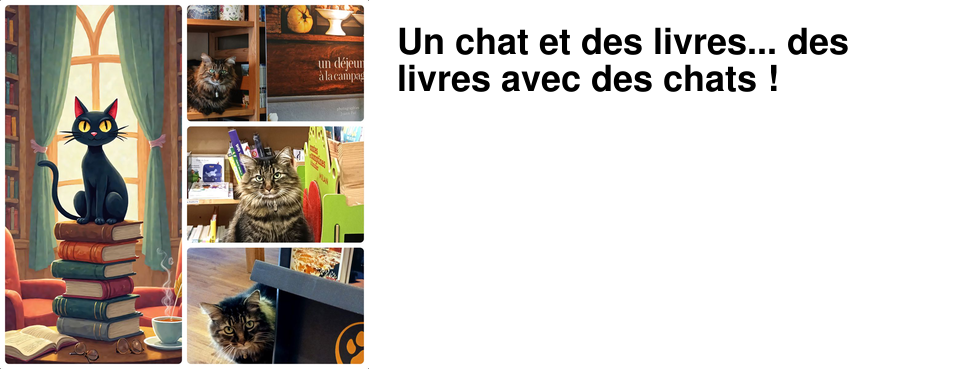 Un chat et des livres... des livres avec des chats !