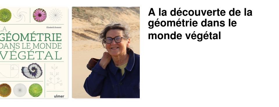 A la d�couverte de la g�om�trie dans le monde v�g�tal